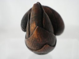 p4260031