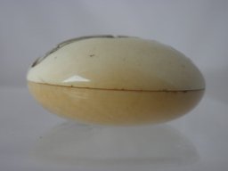 p4260023