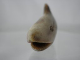 p4260043