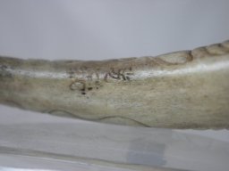 p4260055