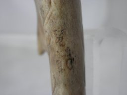 p4260056