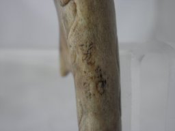 p4260057