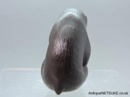 DSCN2398
