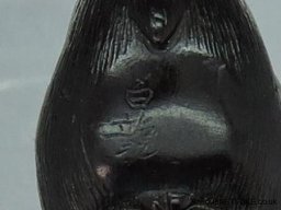 RSCN2409