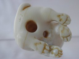 pb020049