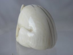 p6020019