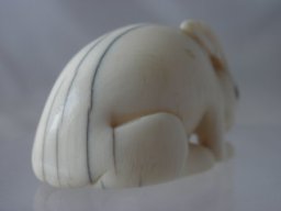 p6020021