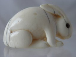 p6020022