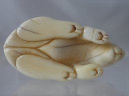 p6020026