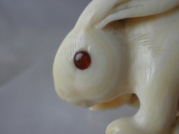 p6020027