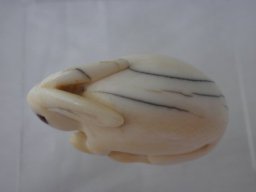 p6020028