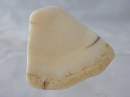 p4260248