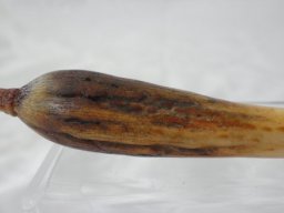 p4030100