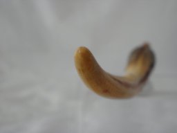 p4030106