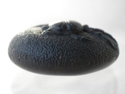 p1060021