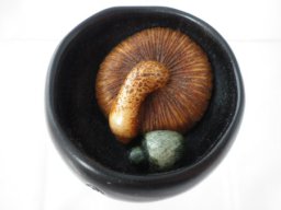 p1030005