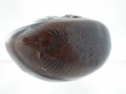 p4030046