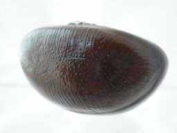 p4030048
