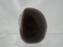 p4030049
