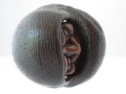 p6210014