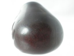 p4260254