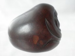 p4260256
