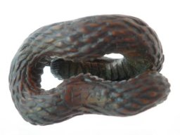 pa110039