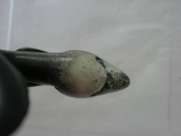 p1060010-2