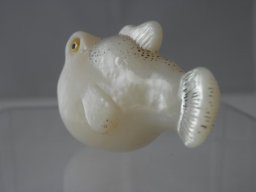 p7160037