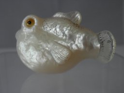 p7160038