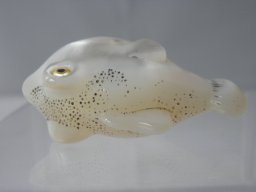 p7160040