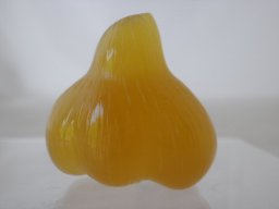 pa110018