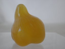 pa110020