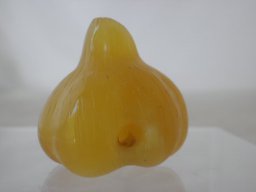 pa110021