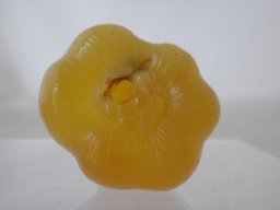 pa110022