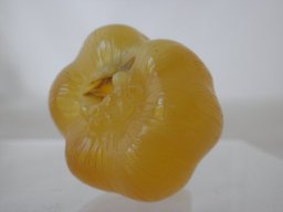 pa110023