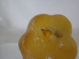 pa110026
