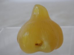 pa110045