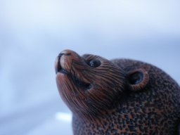 pc090025