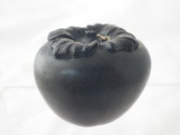 p1060040
