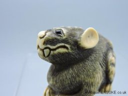 DSCN5979