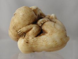 p4260059