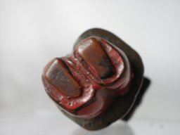 p2100094