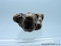 DSCN6061