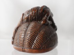 p4260068