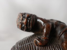p4260080