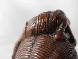 p4260081