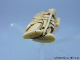 DSCN5954