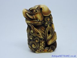 DSCN0364
