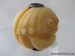 pict0044